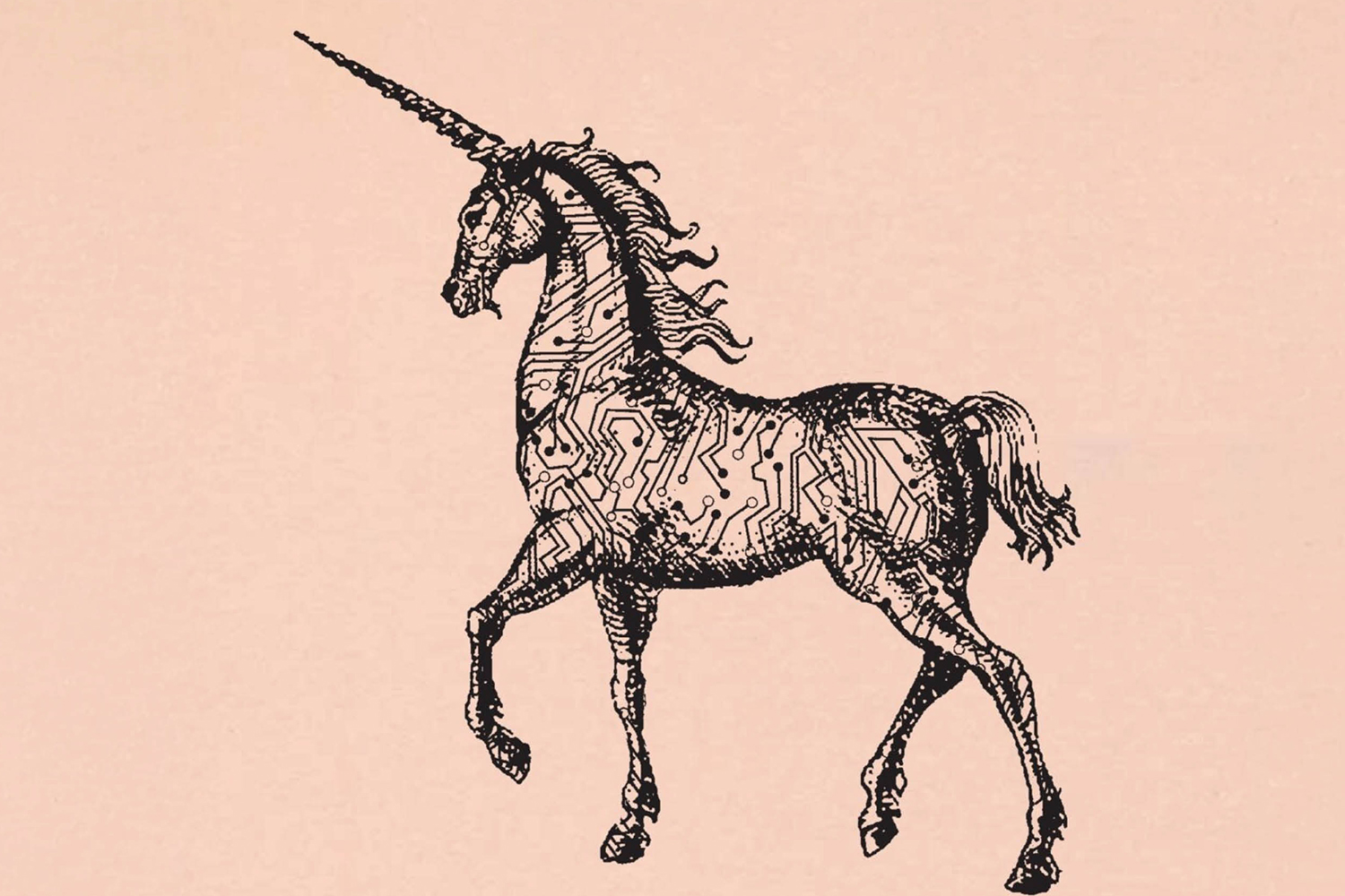 Book cover featuring a unicorn